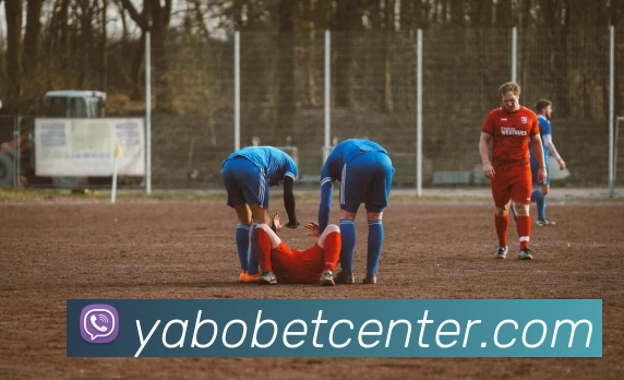 App Interface Preview