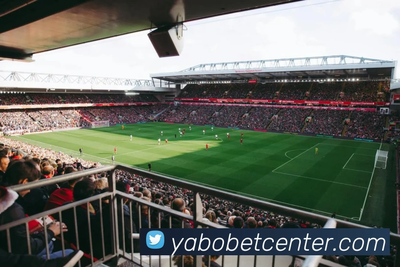 亚博体育APP 封面图